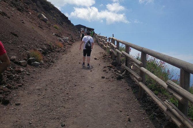Half day shore excursion to Mount Vesuvius (2 hours) - Practical Details: Transport, Accessibility, and Booking