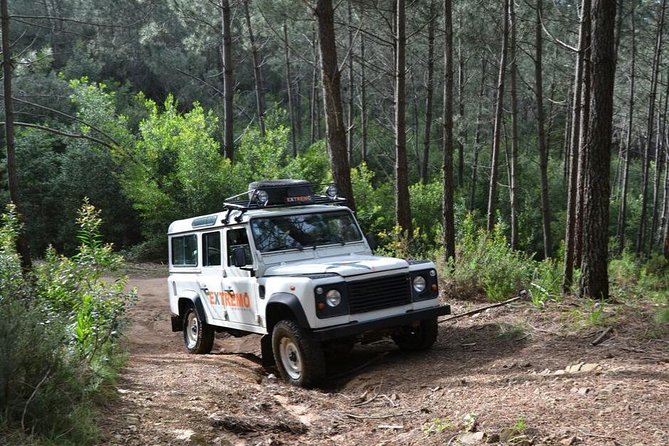 Half-day Sintra Jeep Safari - Comparative Options and Similar Tours