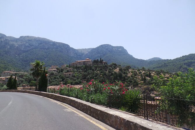 Half Day Slingshot Tour from Paguera - Coastal Charm at Port Andratx and Camp de Mar