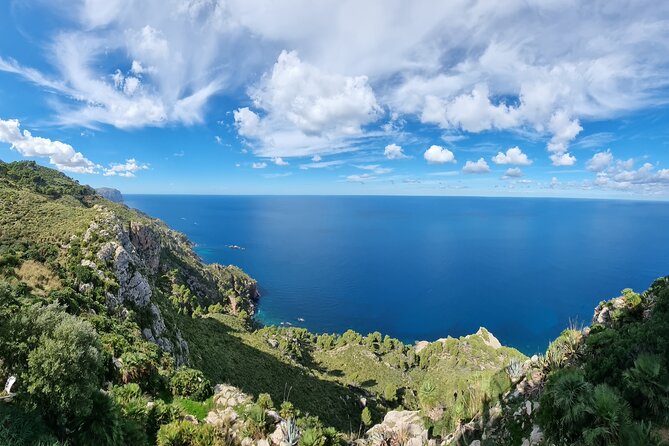 Half Day Slingshot Tour from Paguera - What’s Included and What’s Extra