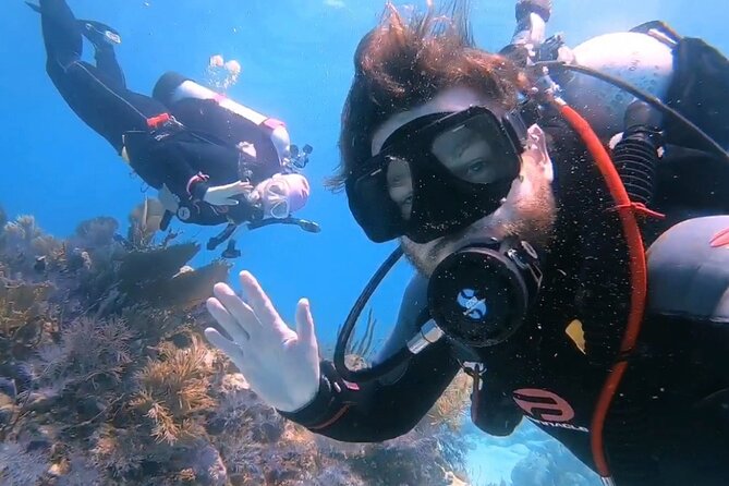 Half-Day Small-Group 2-Tank Scuba Dive in Key Largo (CERTIFIED DIVERS ONLY) - Dive Gear and Equipment: Convenience and Safety