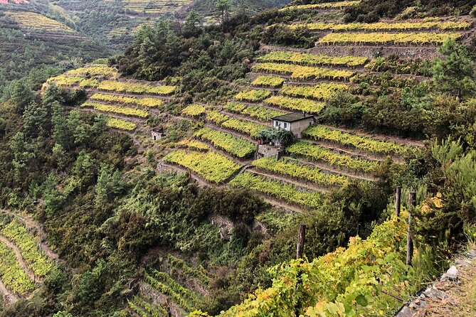 Half Day Small Group Hike to Portovenere with Local Guide - Scenic Highlights During the Trek