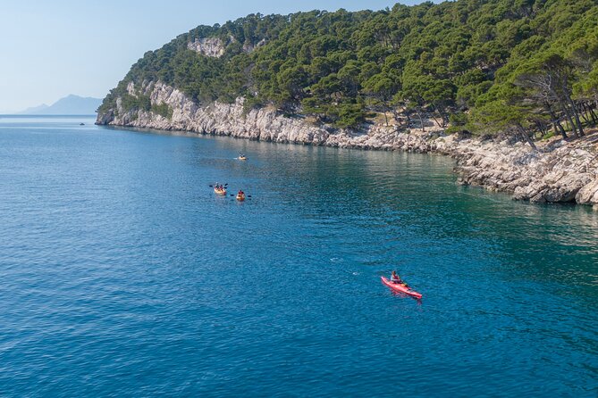 Half-Day Small-Group Kayaking Tour in Makarska - Pricing and Overall Value