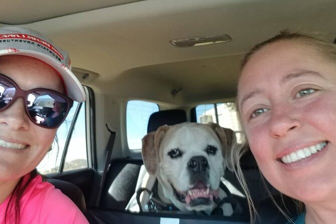 Half-Day Small Group Offroad 4x4 Truck Tour in San Diego - Explore San Diego’s Wilderness in a Lifted 4x4 Truck for Just $200