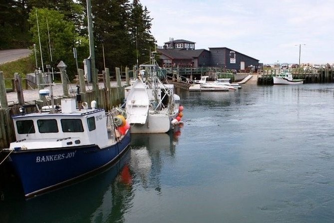 Half-Day Small-Group Tour of Annapolis Valley - Additional Scenic Points and Wildlife Viewing