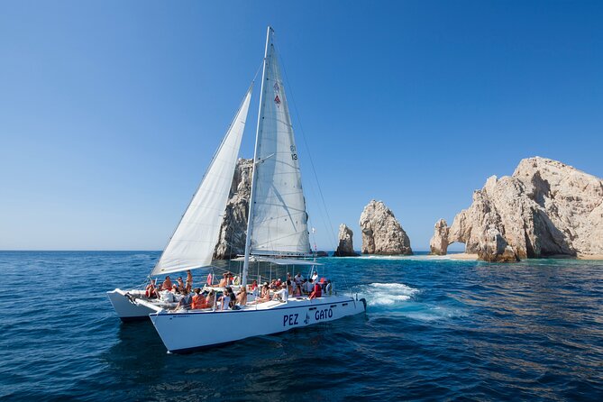 Half-Day Snorkel Experience and Party Catamaran in Los Cabos! + Round Trip - The Experience Provider: Altus Tours
