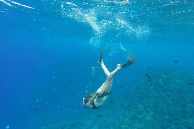 Half Day Snorkel to Lanai from Kaanapali Beach + Dolphin Search - Convenient Departure and Small Group Comfort from Kaanapali