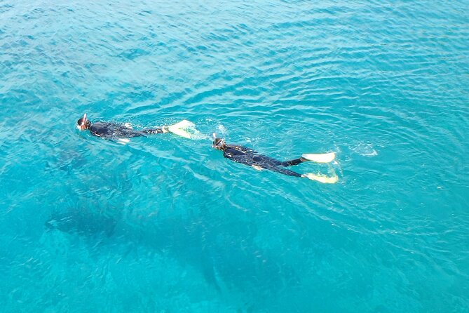 Half Day Snorkelling Experience with a dive boat in Kos Greece - Key Points