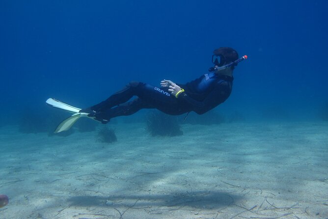 Half Day Snorkelling Experience with a dive boat in Kos Greece - Marine Life and Underwater Highlights