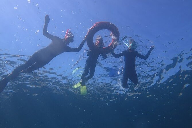 Half Day Snorkelling Experience with a dive boat in Kos Greece - Why This Tour Stands Out in Kos