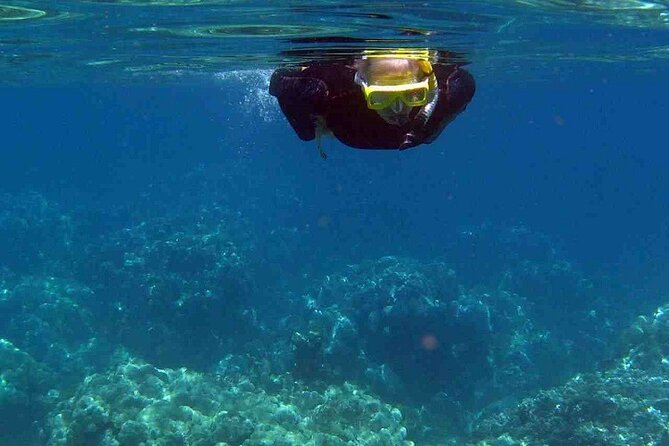 Half Day Snorkelling Experience with a dive boat in Kos Greece - Who Will Enjoy This Tour the Most?