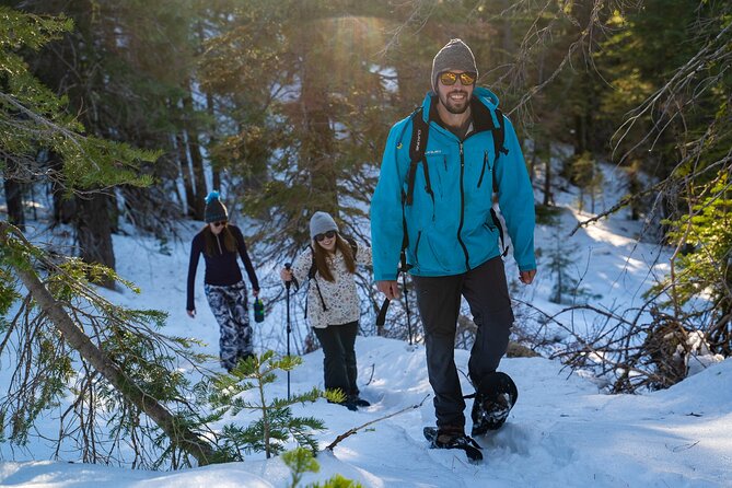 Half Day Snowshoe Hike in Tahoe National Forest - Pacing and Physical Demands of the Hike