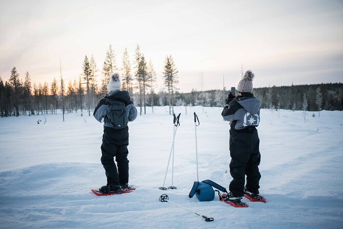 Half Day Snowshoe Hiking Adventure in Levi Lapland - Discover the Deep Snow with Levi’s Half Day Snowshoe Hiking Tour