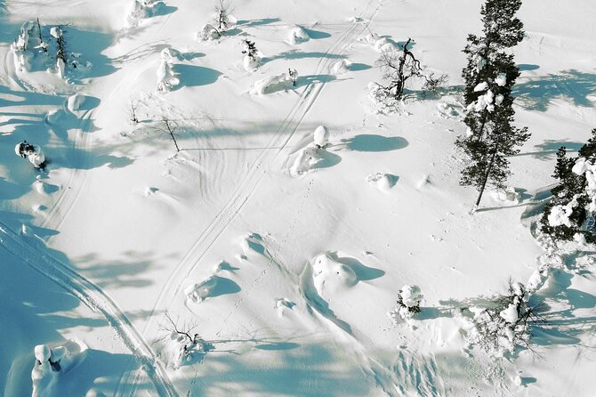 Half Day Snowshoe Hiking Adventure in Levi Lapland - Small Group Size and Personalized Guidance