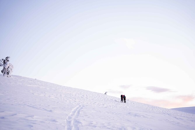 Half Day Snowshoe Hiking Adventure in Levi Lapland - Physical Requirements and Accessibility