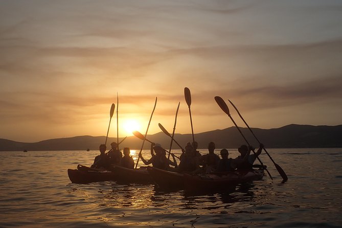 Half-Day Split Sea Kayak Adventure - Physical Requirements and Accessibility
