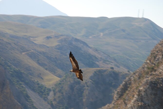 Half Day Sunset Tour in Rethymno with Dinner and Wine - Final Thoughts on the Rethymno Sunset Tour