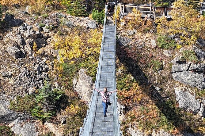 Half Day Suspension Bridge Tour in Skagway and Yukon - Explore the Scenic Half Day Suspension Bridge Tour in Skagway and Yukon