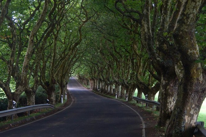 Half Day Terceira Island Tour by 4x4 - Key Points