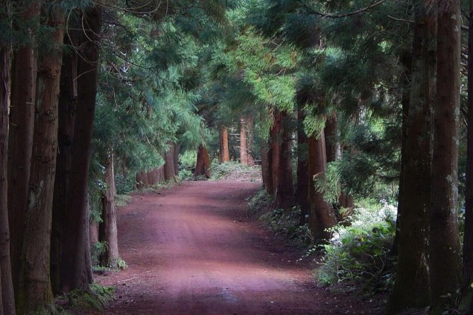 Half Day Terceira Island Tour by 4x4 - Customizable Routes and Private Tours