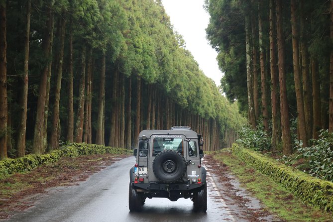 Half Day Terceira Island Tour by 4x4 - Access and Comfort During the Tour
