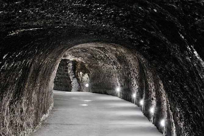 Half Day Tokaj Wine Tasting Tour in Mád Hungary with lunch - Practical Details and Additional Inclusions