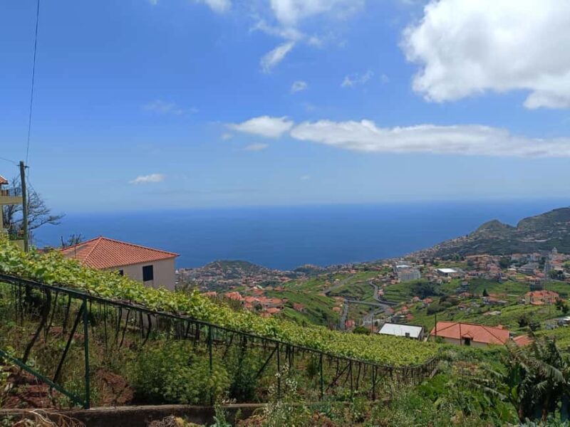 Half Day Tour 4x4 Camara de Lobos Glass Botton View - Starting Point and Tour Duration