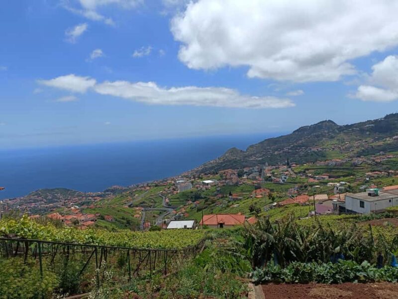 Half Day Tour 4x4 Camara de Lobos Glass Botton View - Exploring Camara de Lobos Village