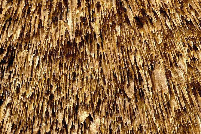 Half Day Tour Bus to the Caves of Drach - Logistics and Group Size