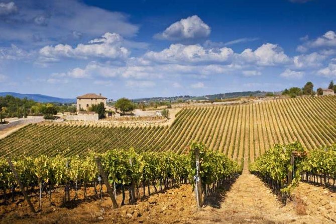Half Day Tour Chianti Winery with San Gimignano - Practical Details and Booking Considerations