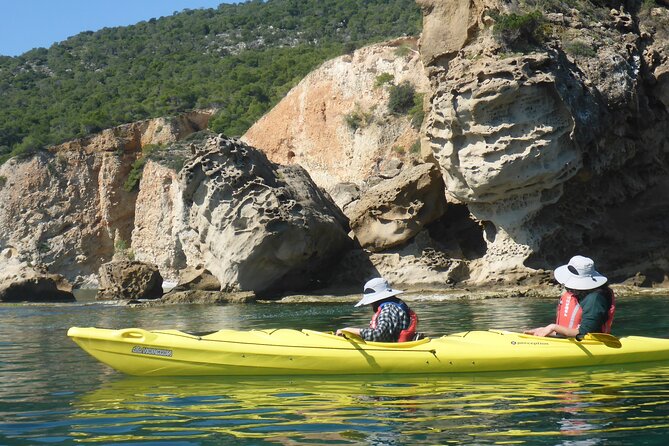 Half Day Tour - Snorkeling and Wildlife Watching from the Kayak