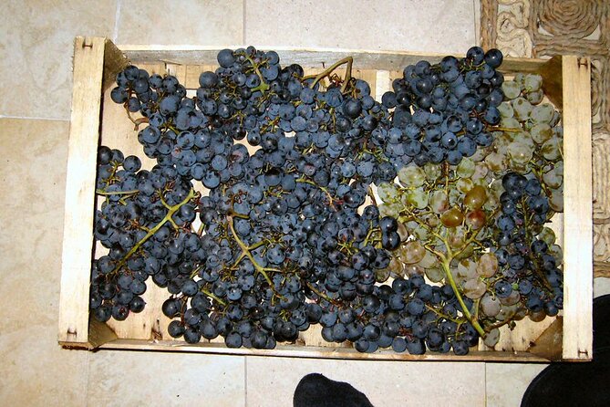 Half Day Tour - Deep and Dark Red Wine of Peljeac - Peljesac Peninsula: Focused Wine Cellar Visits