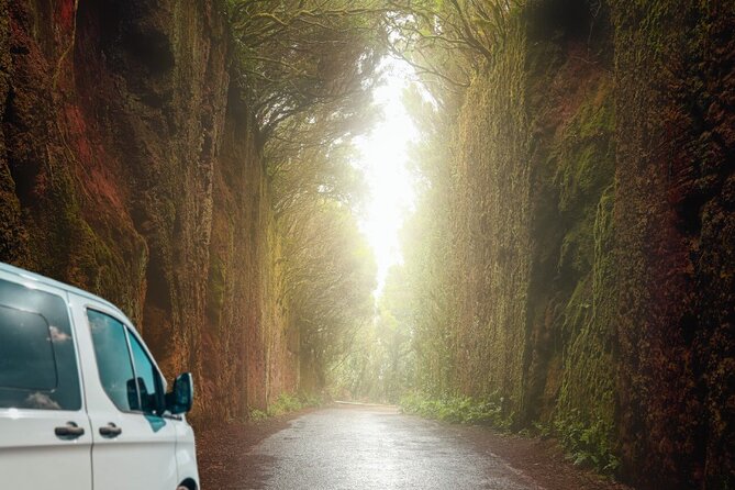 Half Day Tour Discovering Anaga Tenerife - Relaxing on Playa del Roque de las Bodegas