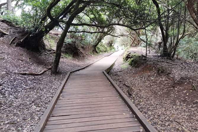 Half Day Tour Discovering Anaga Tenerife - Exploring the Sendero de los Sentidos
