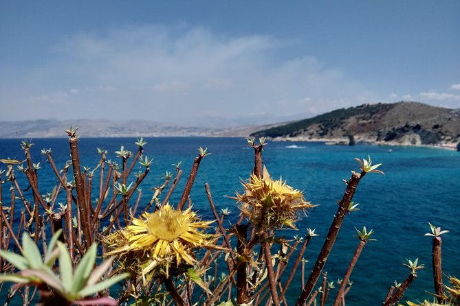 Half-day Tour in South Albania (Blue Eye, Lekursi Castle, Ksamil) - Who Will Enjoy This Tour Most?