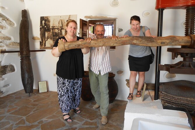 Half-Day Tour of Naxos Island (up to 7 pax) - Customizable Itinerary with Local Guides