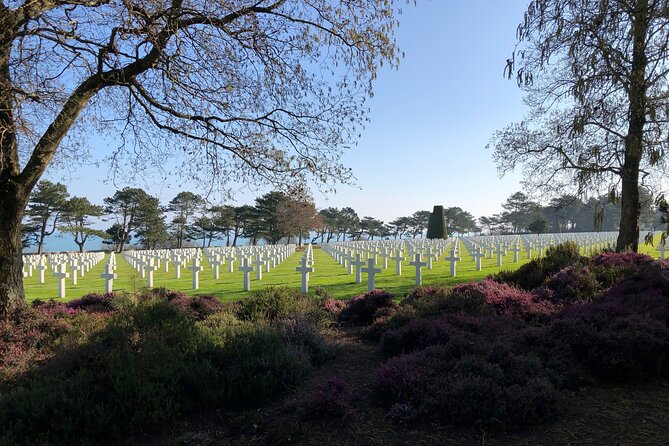 Half-day tour of Omaha Sector with a professional guide - Key Points