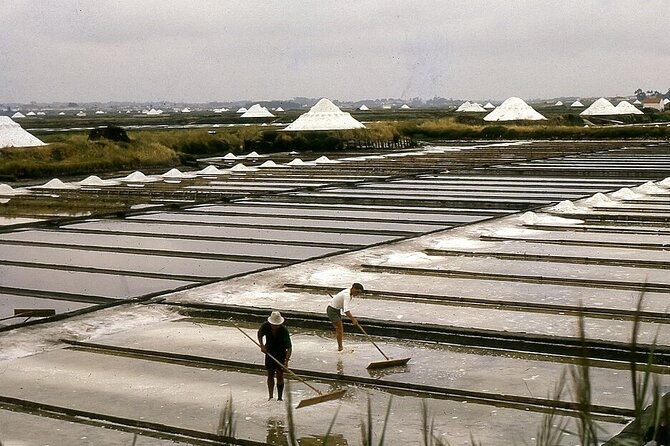 Half-day Tour of Portuguese Venice - Aveiro City - Regional Products and Local Shopping After the Tour