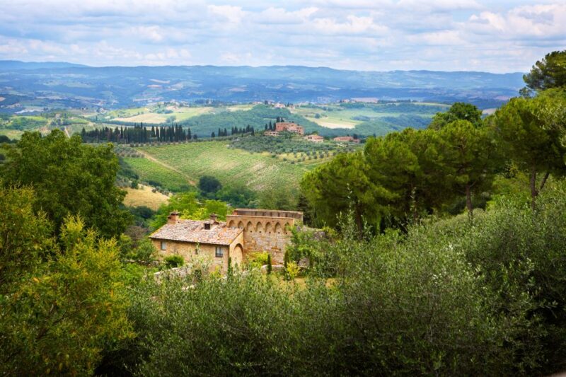 Half-Day Tour of San Gimignano From Florence - From Florence to the Medieval Manhattan