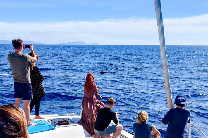 Half Day Tour on a Luxury Catamaran on Madeira Island - Accessibility and Booking Considerations