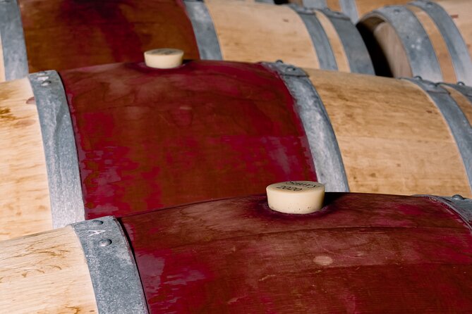 Half day tour Saint-Emilion : Village & Château with wine tasting - The Role of the Guides: Knowledge and Engagement