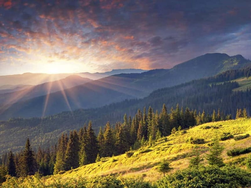Half Day Tour - Sofia and the mountains with Thermal Spa - Exploring Boyana Church’s UNESCO Heritage Significance
