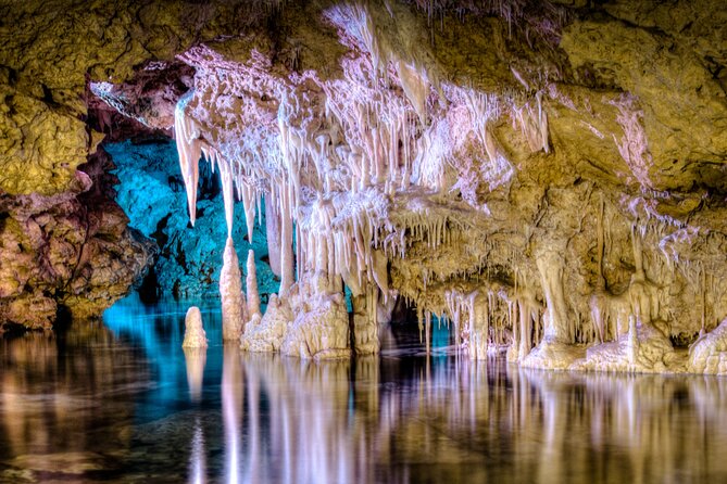 Half Day Tour to Dinosaur Land in Mallorca - Key Points