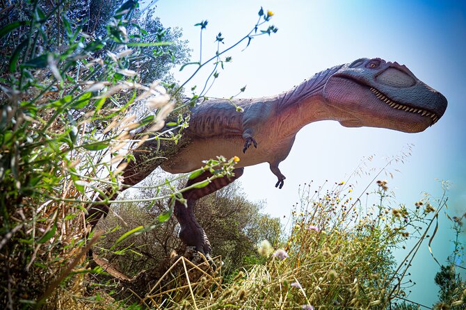 Half Day Tour to Dinosaur Land in Mallorca - Practical Tips and Considerations