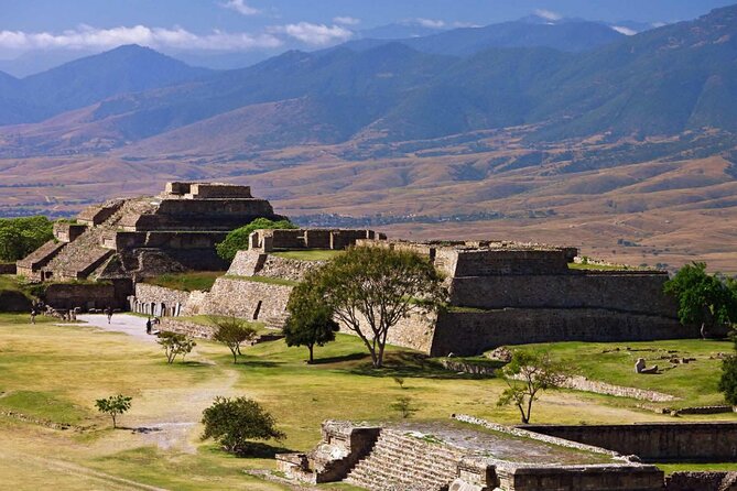 Half day tour to Monte Albán - What Visitors Can Expect at Monte Albán