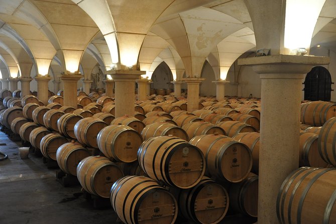 Half-day tour to Saint Emilion, a UNESCO site, with a private guide - Key Points