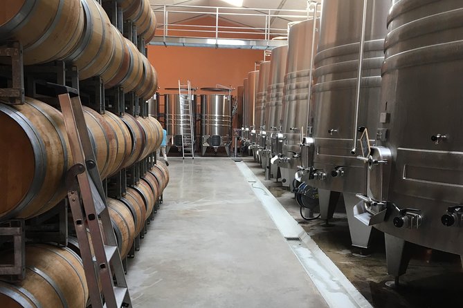 Half-day tour to Saint Emilion, a UNESCO site, with a private guide - Tasting a Grand Cru Classé: Excellence in Bordeaux Wines