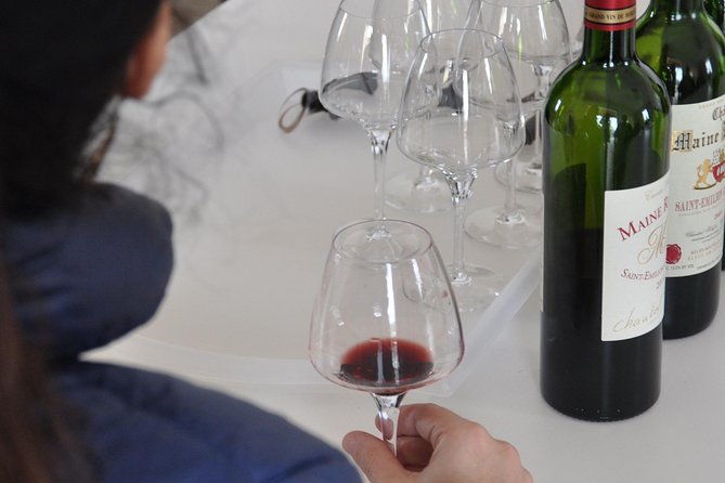 Half-day tour to Saint Emilion, a UNESCO site, with a private guide - The Tours Flexibility and Customization Options