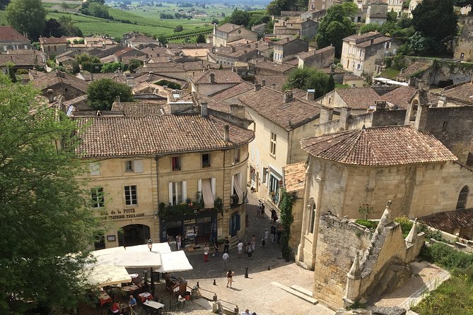 Half-day tour to Saint Emilion, a UNESCO site, with a private guide - The Guide: Expertise and Personal Touch