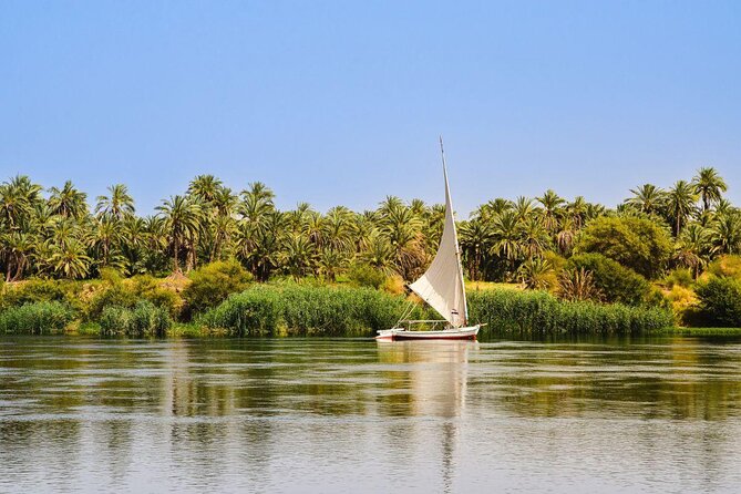 Half-Day Tour To The Mummies Museum & 1Hour Felucca Nile Ride - Explore Egypt’s Ancient Treasures and the Nile in One Tour